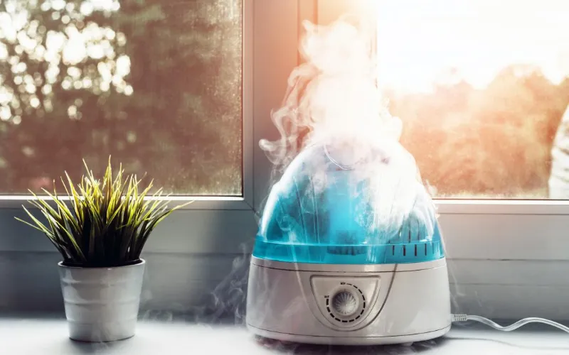 Get A Good Night's Sleep With Best Humidifier For Snoring 49 best humidifier for snoring