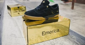 Campaign Ads 19 emerica herman g6