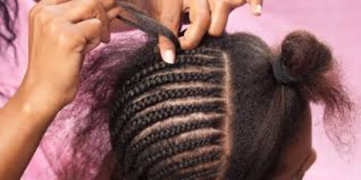 dark brown box braids