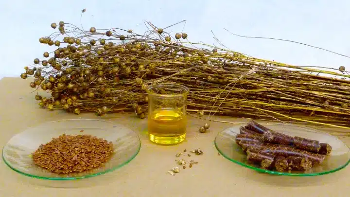 Your Guide to Buying the Best Flaxseed Oil 4 best flaxseed oil